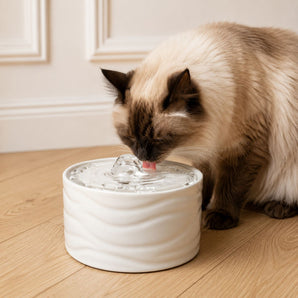 Fontaine à Eau pour Chat en Céramique 850 ml – Abreuvoir Automatique Silencieux