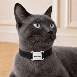 Collier GPS pour Chat Anti-Fugue – Traceur Bluetooth Compatible Android et iPhone